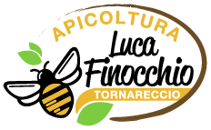 Luca Finocchio